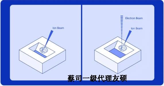 东丽扫描电子显微镜